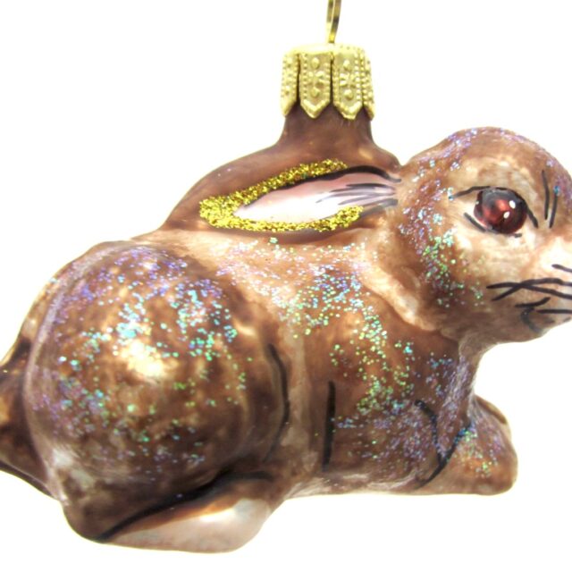 brown bunny, bruin konijn,