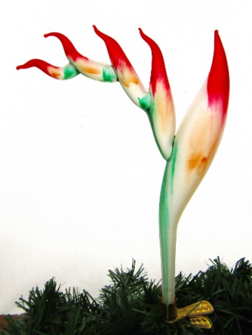 1192666_max.jpg