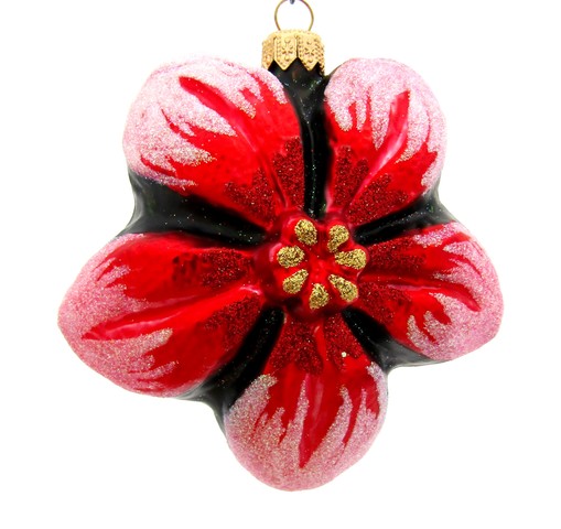 Bloemen : rode bloem met zwart