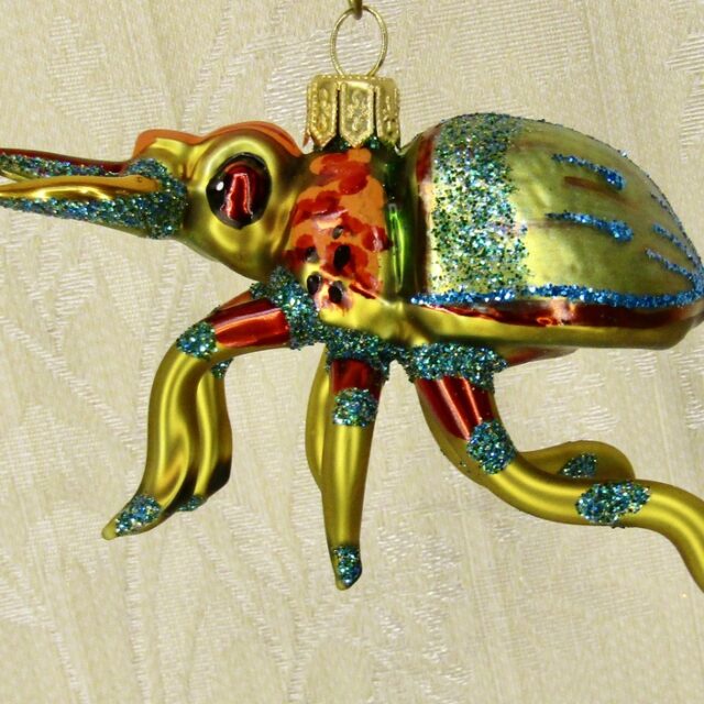 bug, beatle