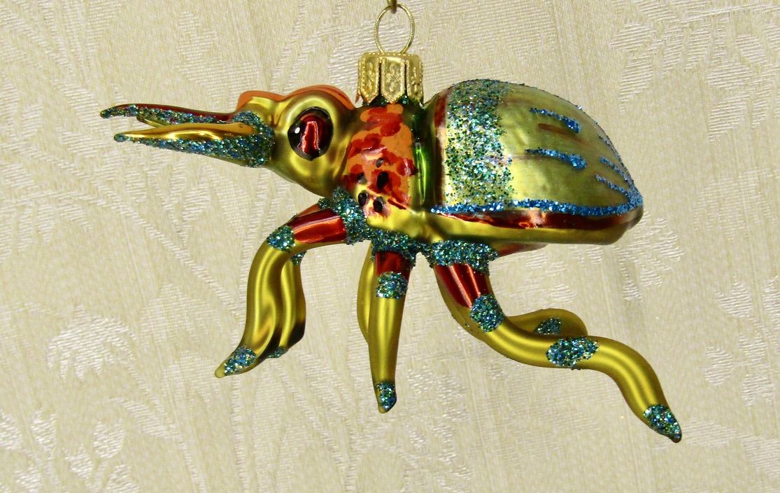 bug, beatle