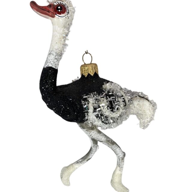 ostrich, struisvogel, christmas,