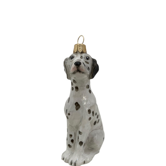 dalmatian