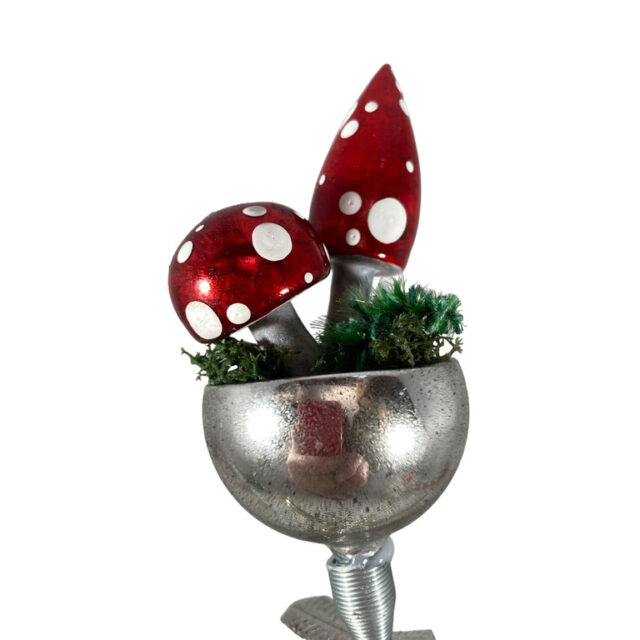 mushroom in cup