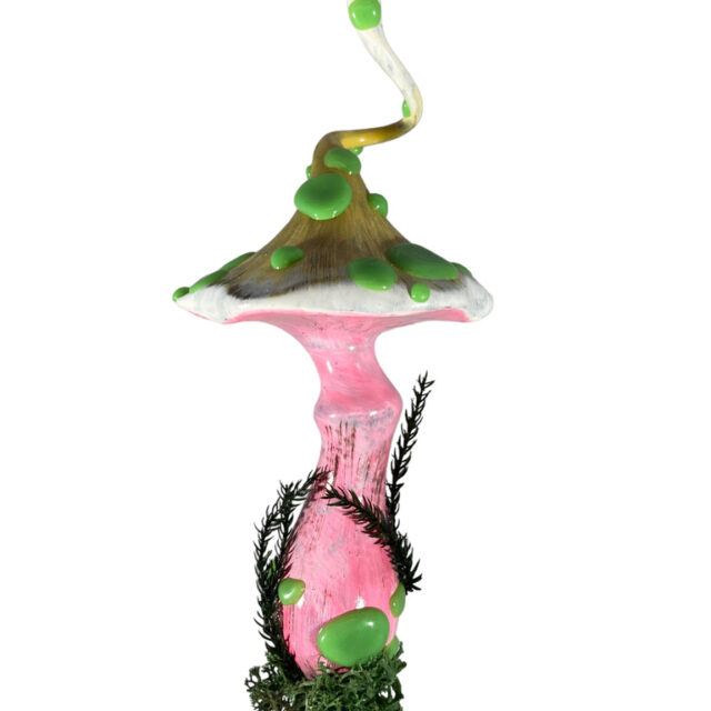mushroom pink stem