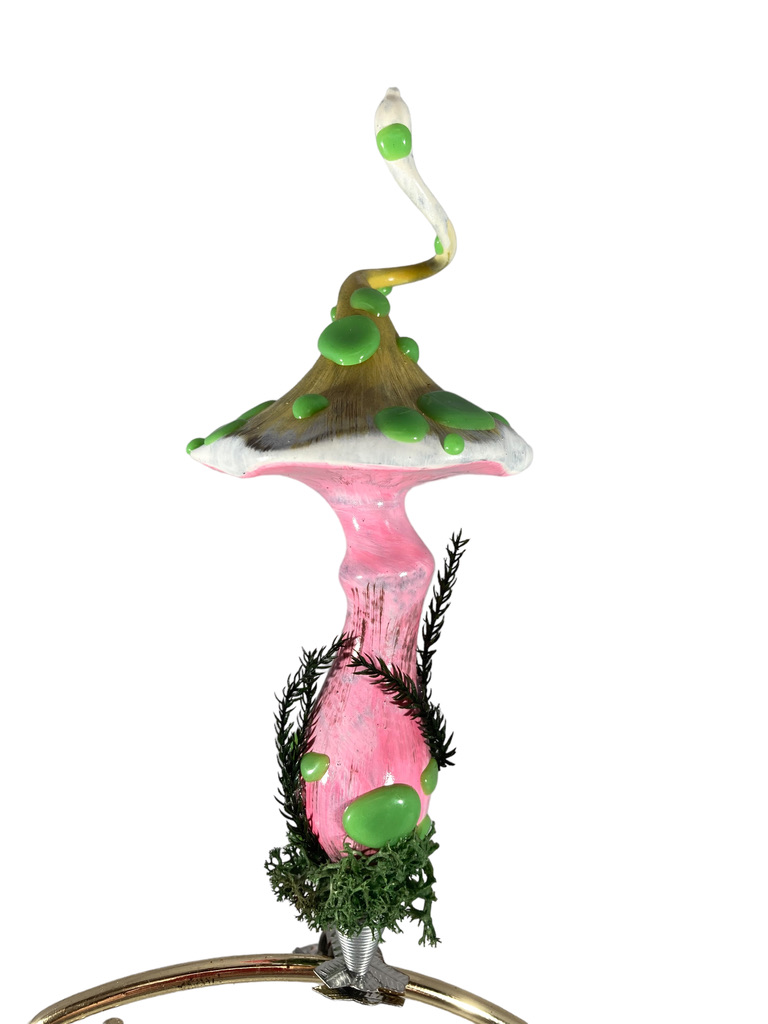 mushroom pink stem