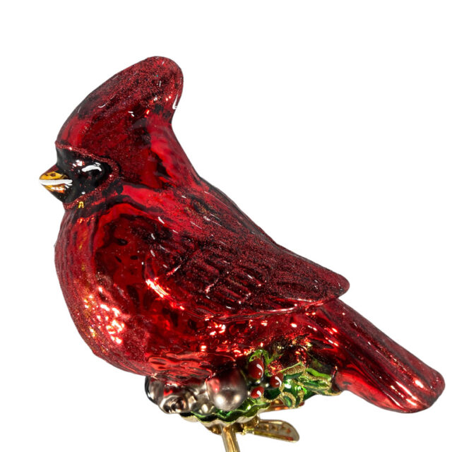 cardinal