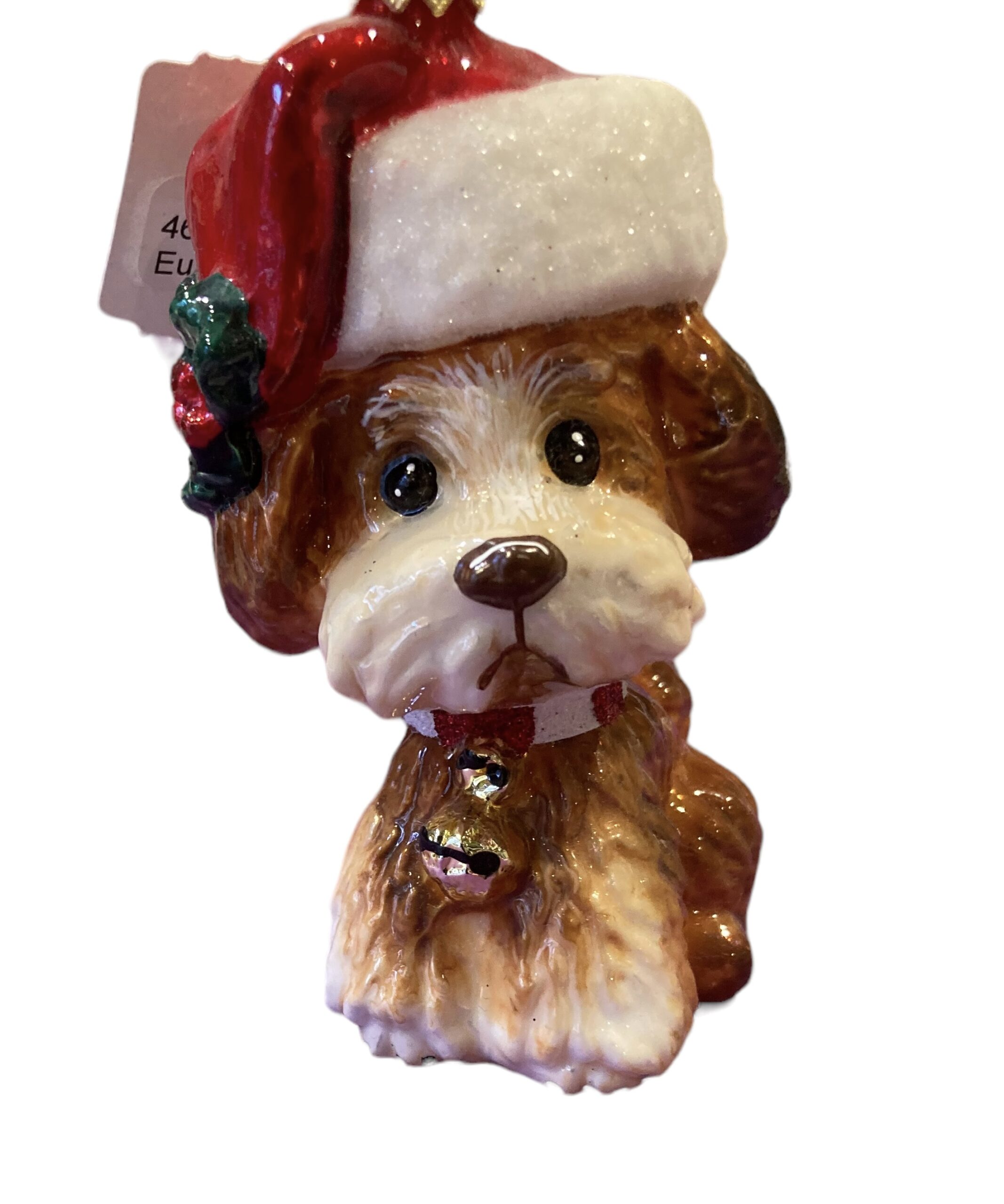 dog with santa hat