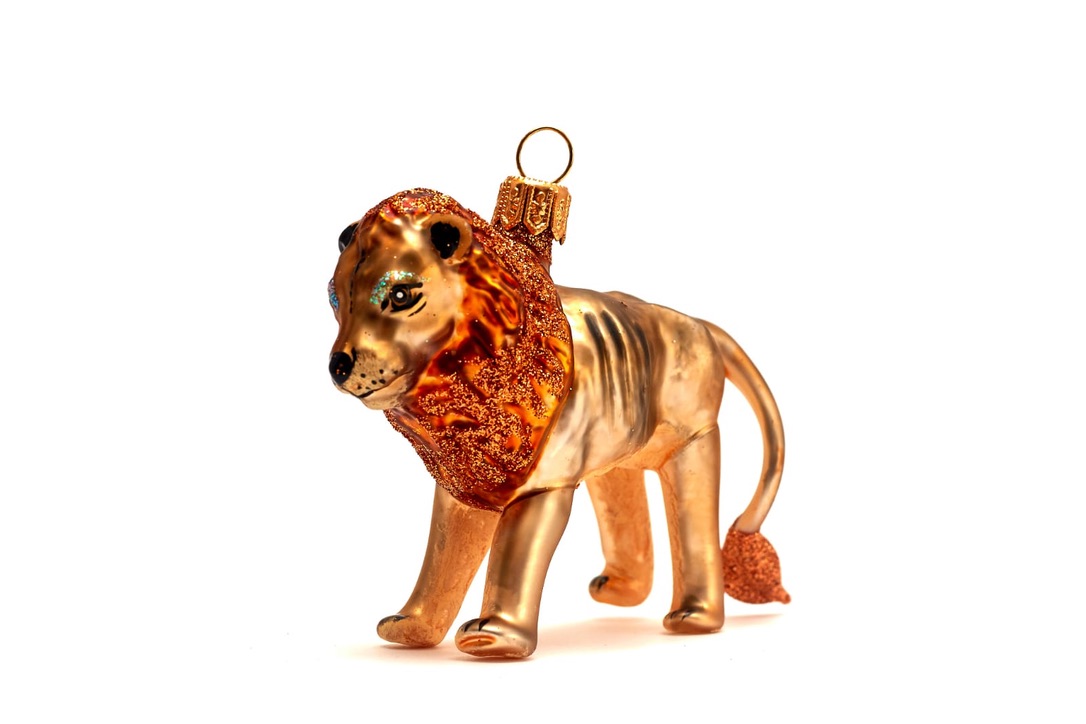 King of the jungle - lion