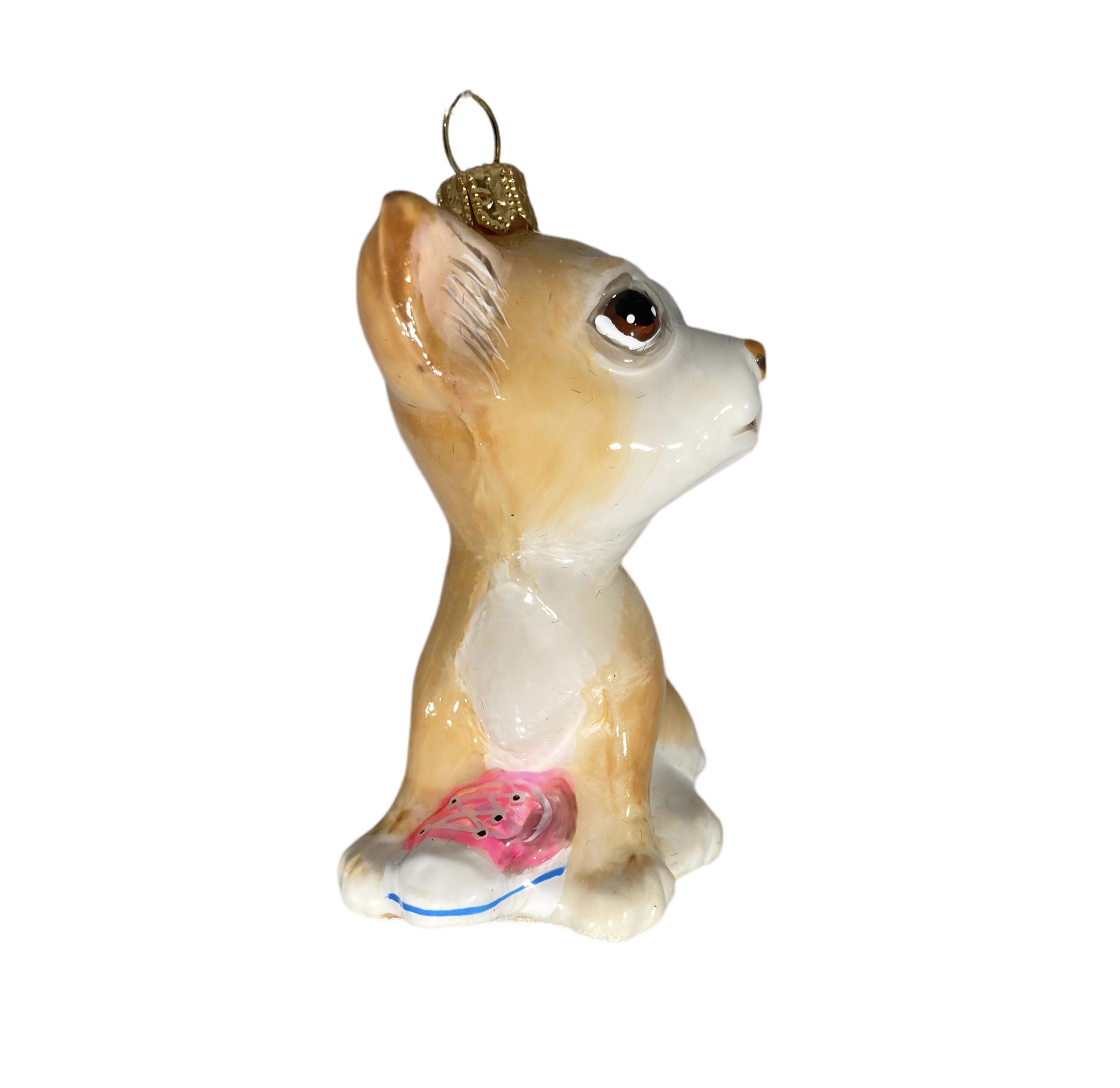 chihuahua puppy