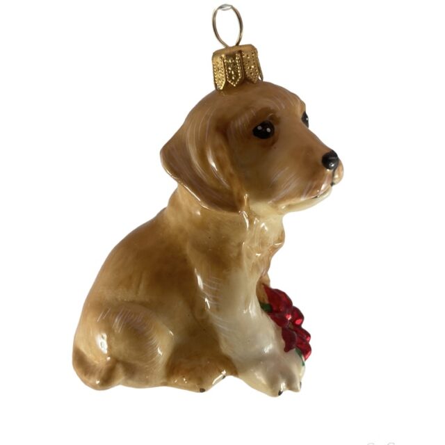 golden retiever puppy