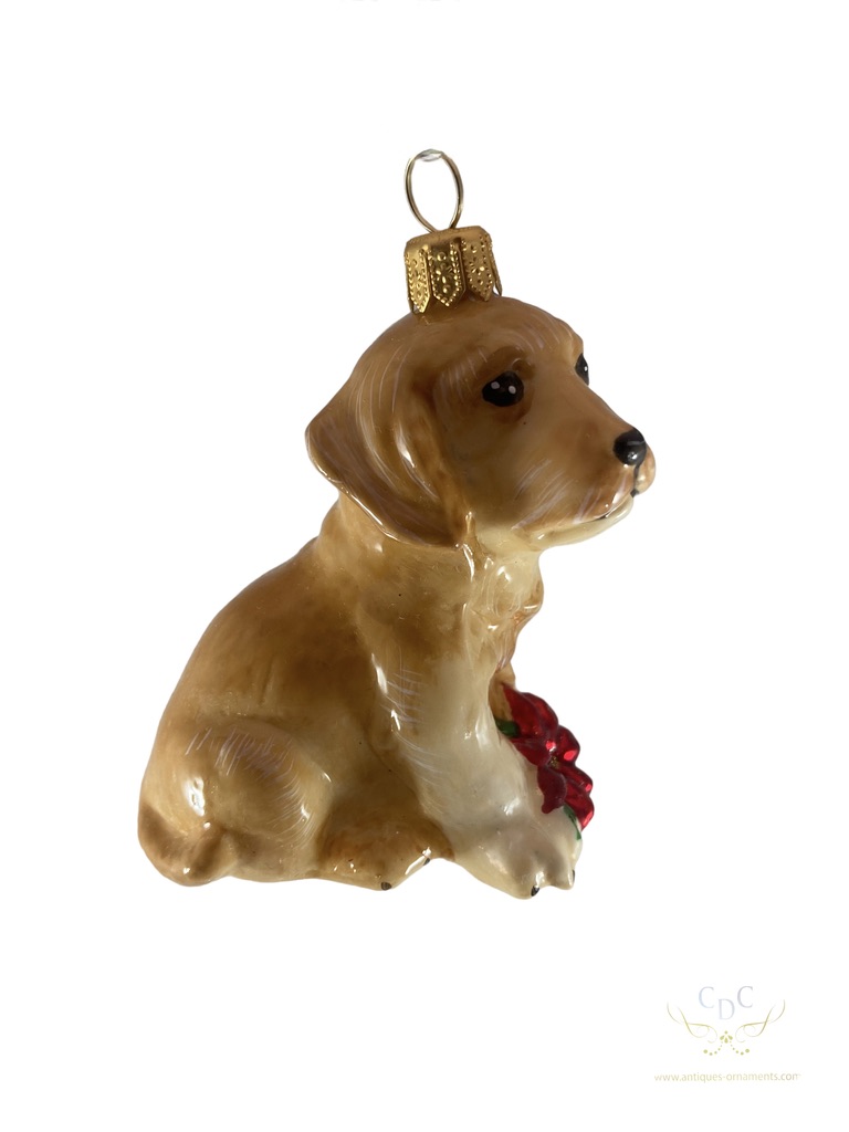 golden retiever puppy