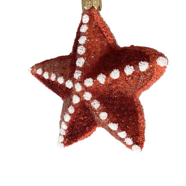 zeester, starfish, sea, zee, animal, dier, ocean, endangered animal, glassornament, kerst, christmas, christmasdecoration, kerstversiering,