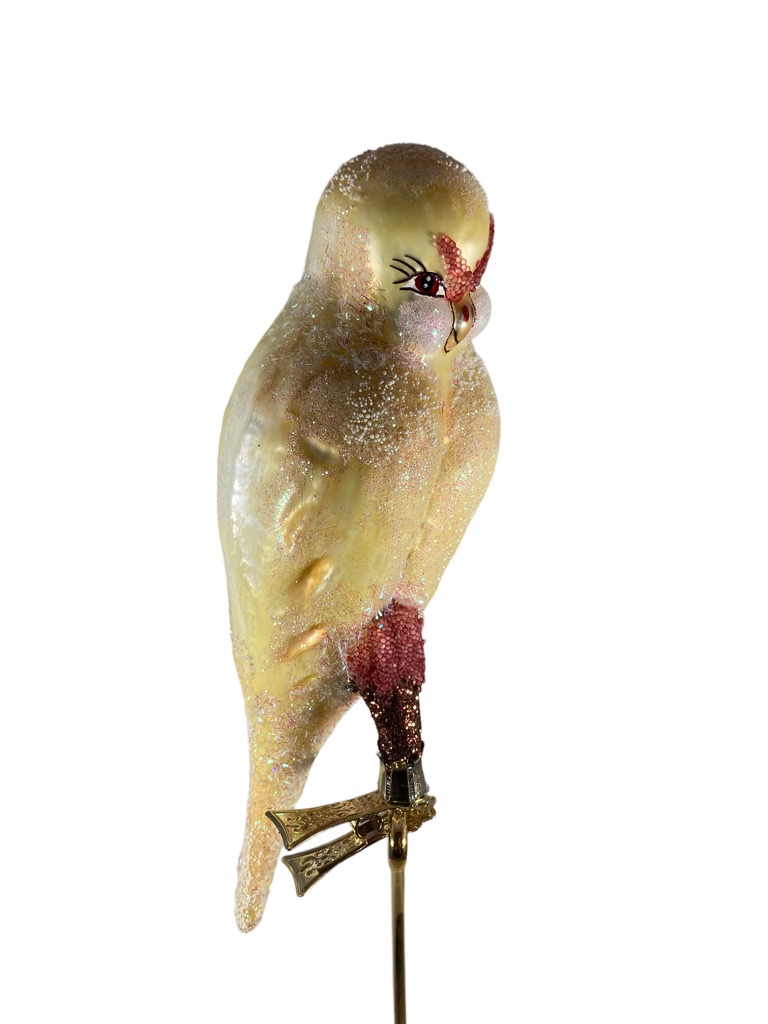 big parrot, bird, animal, christmas,