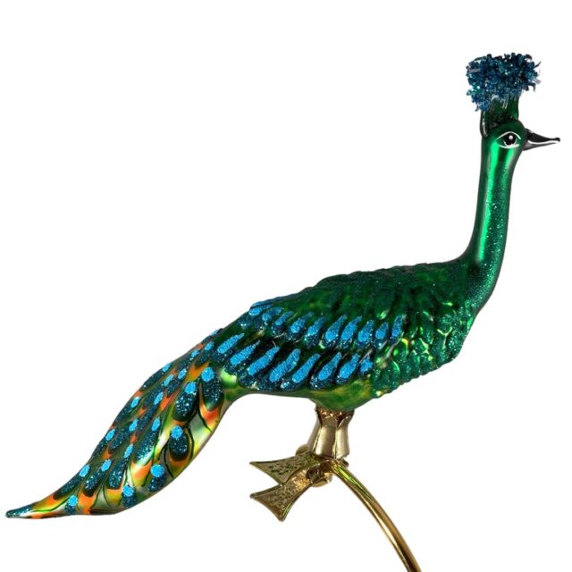 peacock on a clip