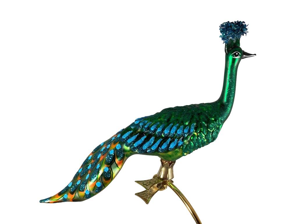 peacock on a clip