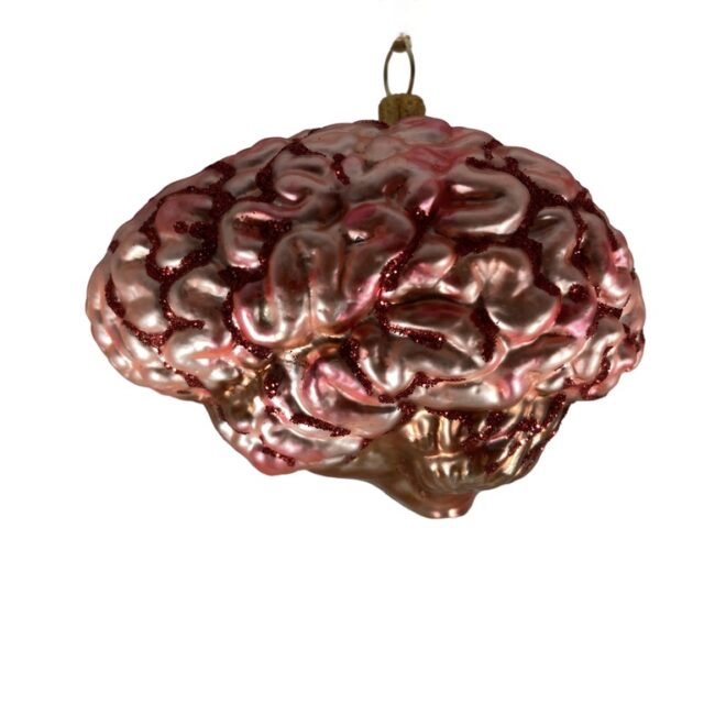 brain