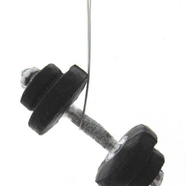 dumbbell, fitness, sport, work-out, christmas, kerst, kerstdecoratie, christmasdecoration, christmastree, kerstboom, kerstsfeer, chrismtasatmosphere, santa claus, kerstman, perfect gift, geschenkidee,