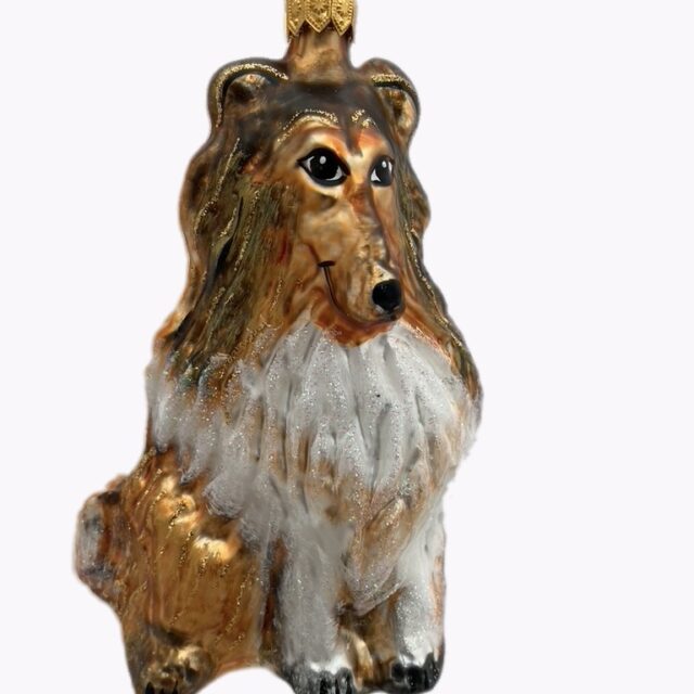 dog, hond, dier, animal, humans best friend, de beste vriend van de mens, kerst, christmas, kerstbal, christmasdecoration, kerstversiering, christmas toys, christmastree, kerstboom, santa claus, kerstman, kerstsfeer, christmasatmosphere, xmas, xmasinspriration,