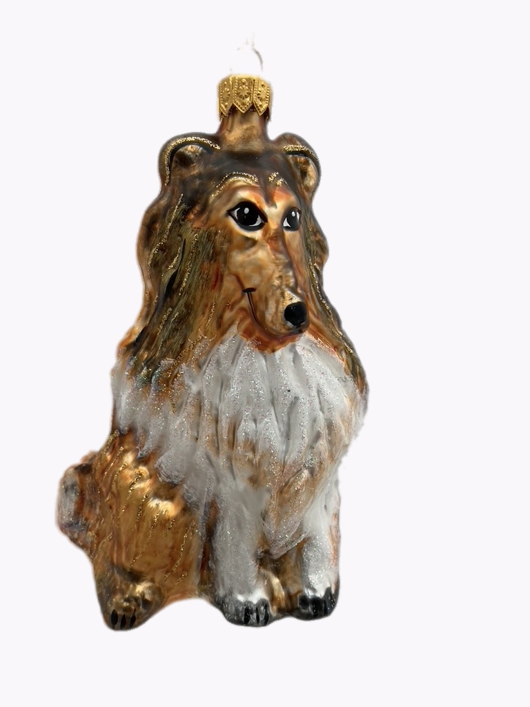 dog, hond, dier, animal, humans best friend, de beste vriend van de mens, kerst, christmas, kerstbal, christmasdecoration, kerstversiering, christmas toys, christmastree, kerstboom, santa claus, kerstman, kerstsfeer, christmasatmosphere, xmas, xmasinspriration,