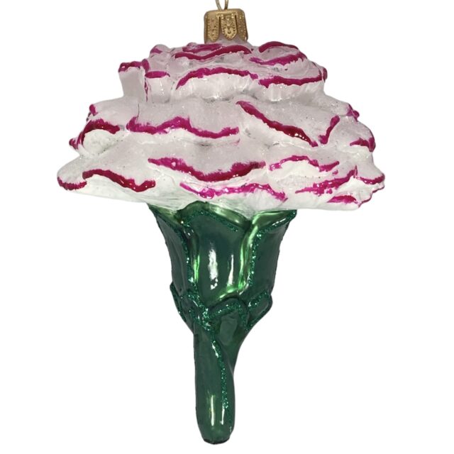 carnation, witte bloem, flower of passion, of love , bloem, flower, nature, natuur, wildlife, christmas, kerst, christmas in july, flowerfairy, present form god, geschenk van God, kerstboom, christmastree, home decor, interieur decoratie, kerstman, kris kringle, santa, chritmascountdown, chritmas is coming,