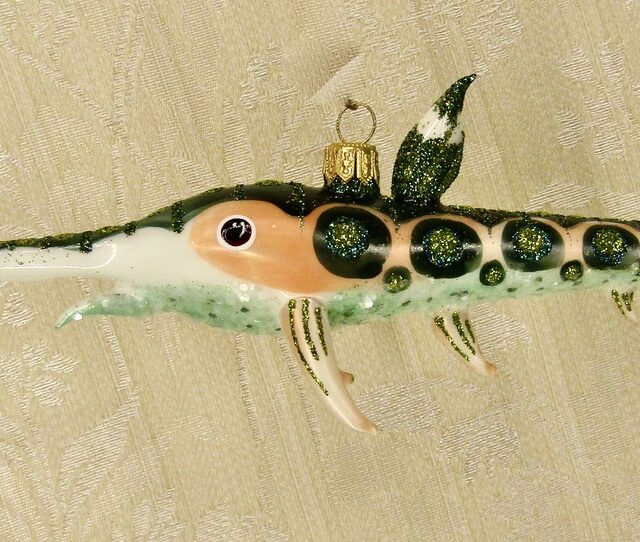 sealife, zeeleven, dier, animal, sawfish, zaagvis, vis, fish, , nature, natuur, wildlife, christmas, kerst, christmas in july, flowerfairy, present form god, geschenk van God, kerstboom, christmastree, home decor, interieur decoratie, kerstman, kris kringle, santa, christmascountdown, christmas is coming,