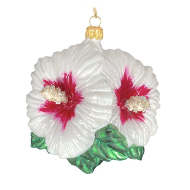 This white hibiscus really stands out against the evergreen of your christmas tree.