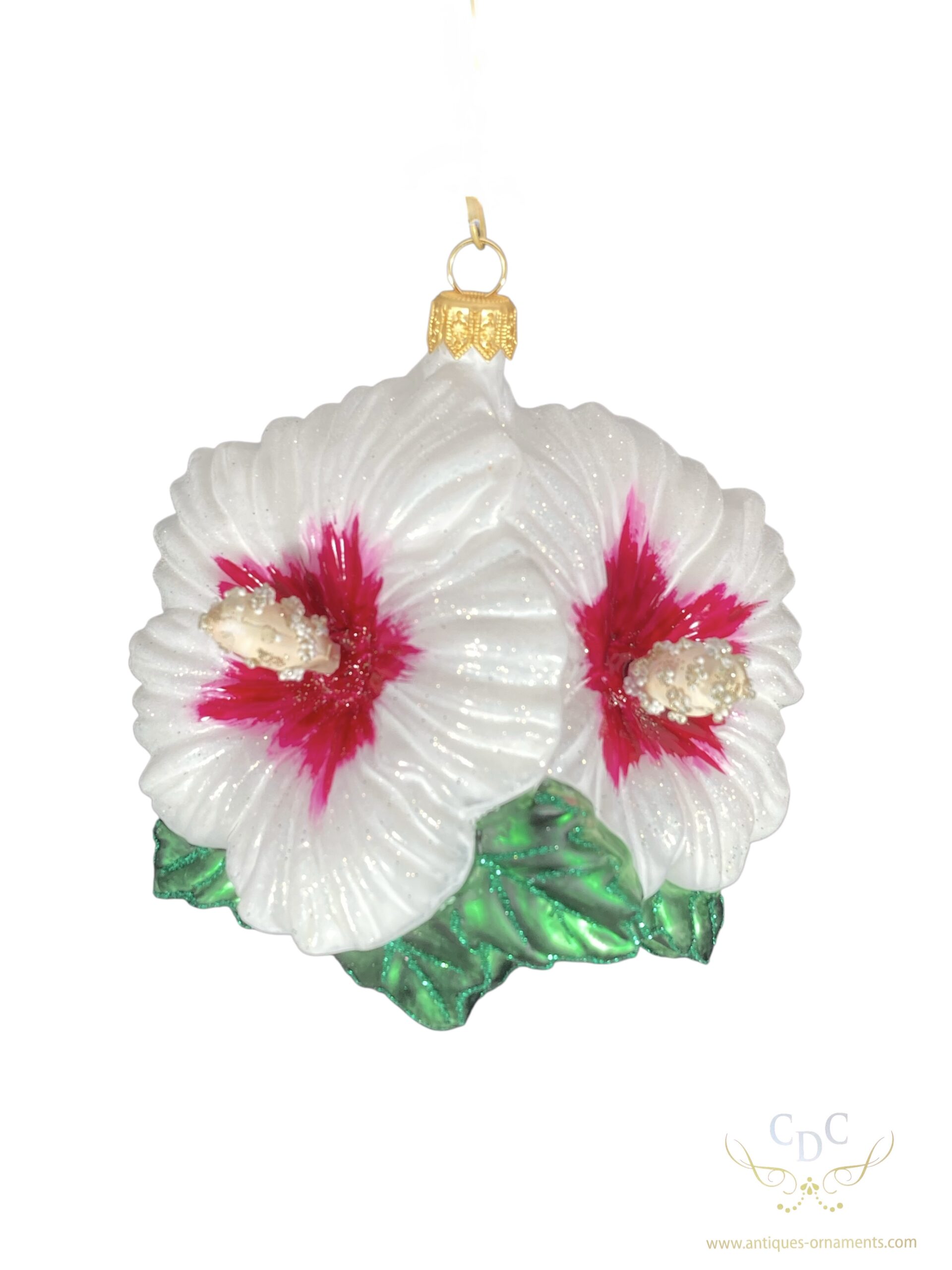 This white hibiscus really stands out against the evergreen of your christmas tree.