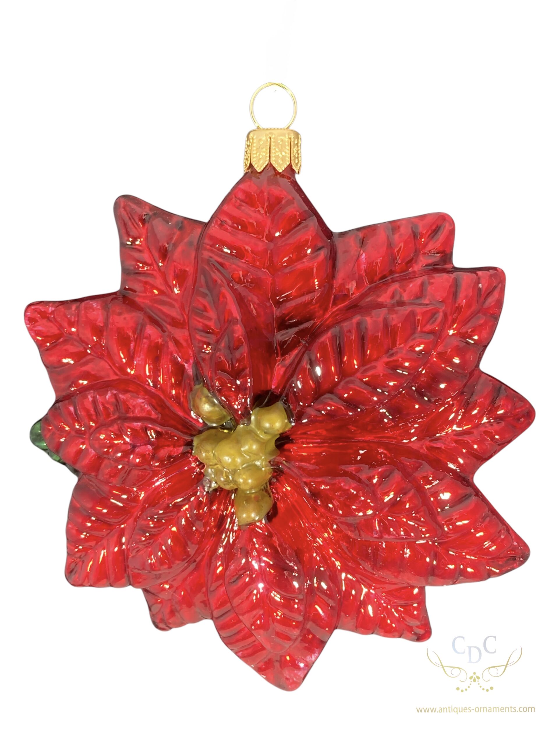 the most wanted christmas flower : the red pionsetta !! wenn they start showing up in shops your know it is that special time of the year !!!