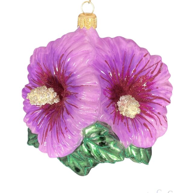 purple hibiscus, paarse bloem, flower, bloem, natue, plants, chritmas, christmastree, kerstboom, kerstversiering, glassornament