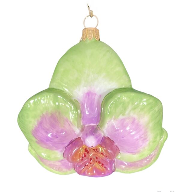 Flower, bloem, orchid, nature, christmasdecoration, kerstboom, keretdecoratie, christmastree, glassornament