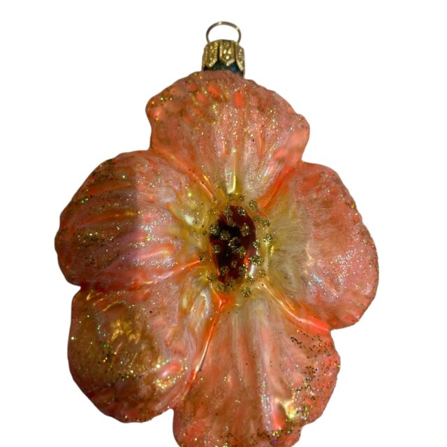 orange flower, oranje bloem , , animal,kingdom, chriistmas decoration, easter decoration, christmastree, santa claus, Xmastoys, history, evolution, decofun