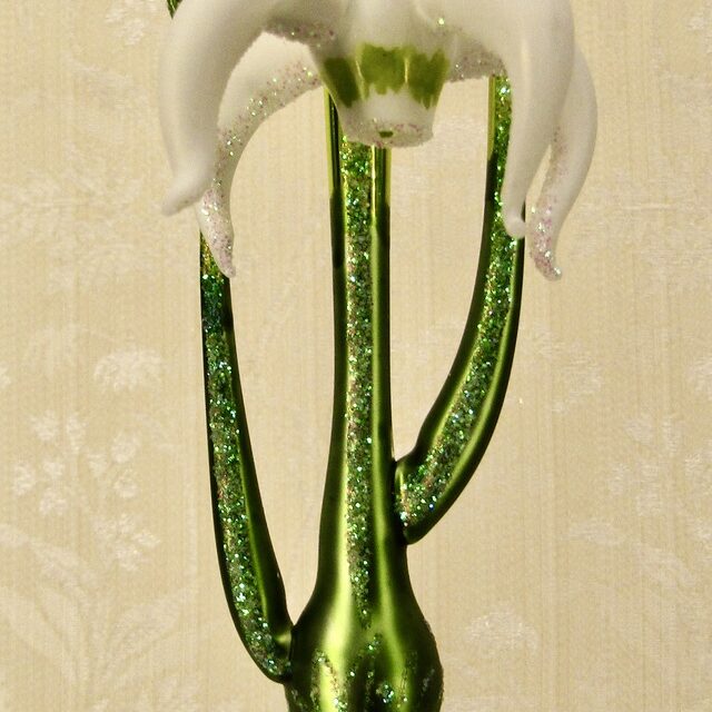 fair maid, sneeuwklokje, bloem, flower, spring is in the air, chrismtas decoration, easter decoration, christmastree, santa claus