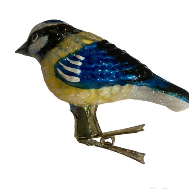 blue tit, pimplemees , vogel, bird, , animal,kingdom, chriistmas decoration, easter decoration, christmastree, santa claus, Xmastoys, history, evolution, decofun