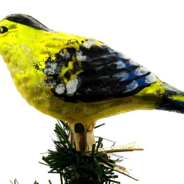 koolmees, vogel, dier, kerstbal, kerstversiering, titmouse, bird, animal, christmasdecoration, santa claus, garden, domestic birds, local birds, lokale vogels, vogels rondom het huis