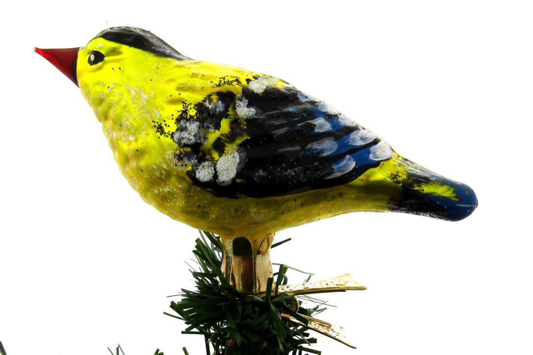 11643A/ koolmees koolmees, vogel, dier, kerstbal, kerstversiering, titmouse, bird, animal, christmasdecoration, santa claus, garden, domestic birds, local birds, lokale vogels, vogels rondom het huis