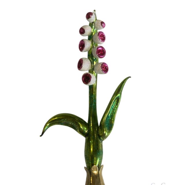 white flower, witte bloem , , animal,kingdom, chriistmas decoration, easter decoration, christmastree, santa claus, Xmastoys, history, evolution, decofun