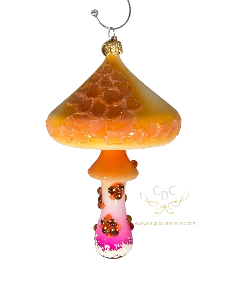 5534 Orange/pink Mushroom