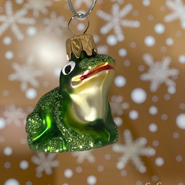 5590 mini Frog