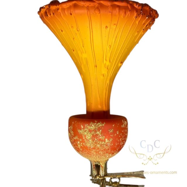 5528 Orange mushroom