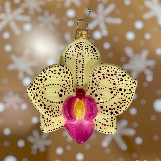 5621 bloemen gele orchidee orchids my favorite flowers, We have dicided to add them to our christmas collection so that they can be cherished all year round.