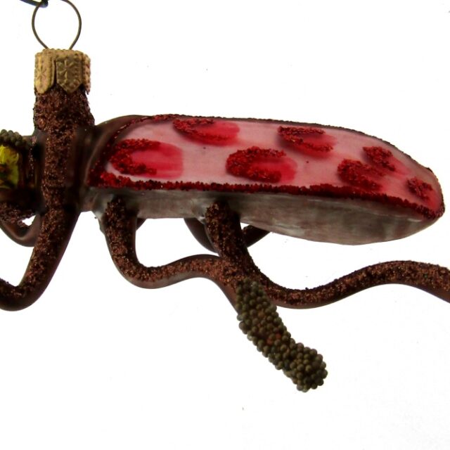 Bug or insect with brown head and brown legs red spotted wings an asset for your christmas tree